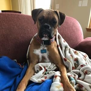 Meet your Posher, Linda